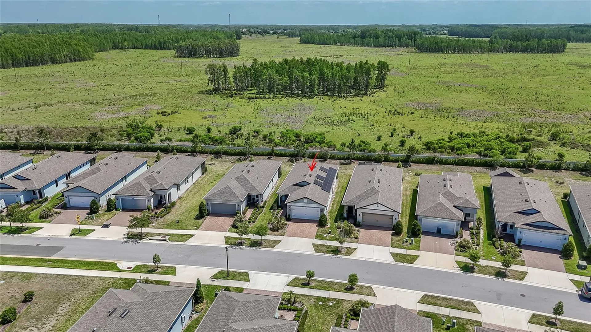 5981 Shorebird Branch Land O Lakes FL 34638