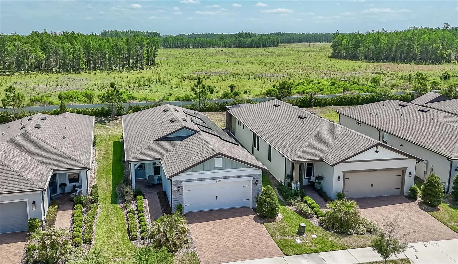 5981 Shorebird Branch Land O Lakes FL 34638