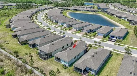 5981 Shorebird Branch Land O Lakes FL 34638