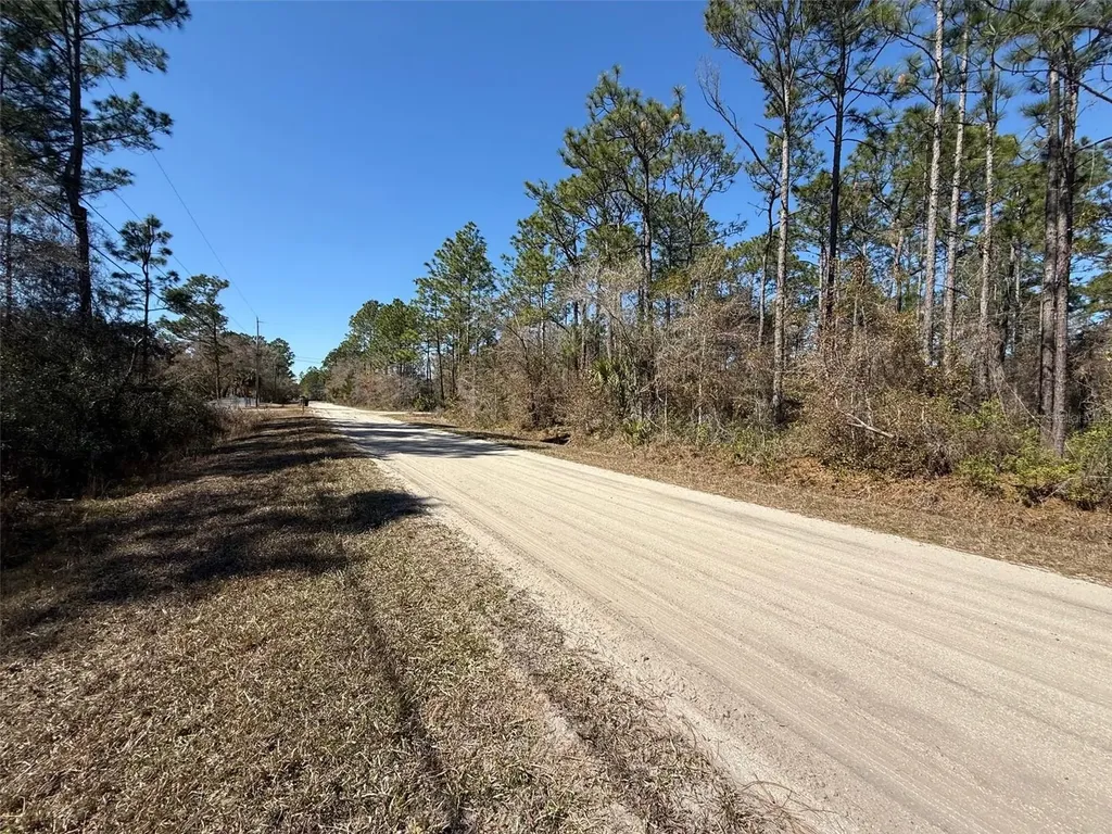4664 Clove Avenue Bunnell FL 32110
