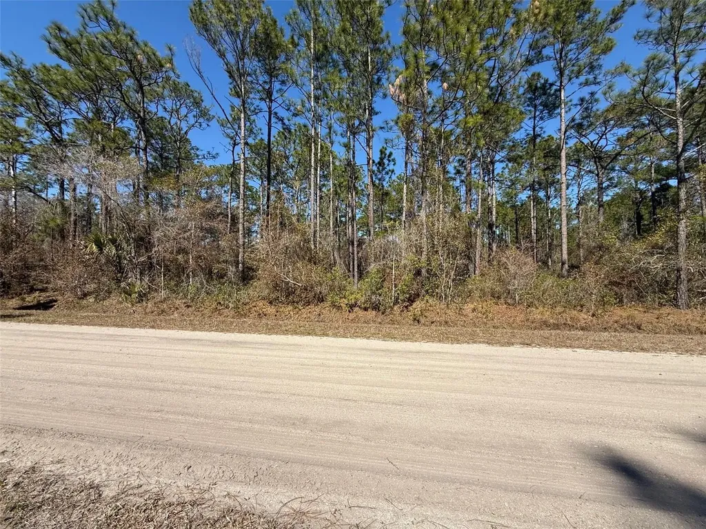 4664 Clove Avenue Bunnell FL 32110