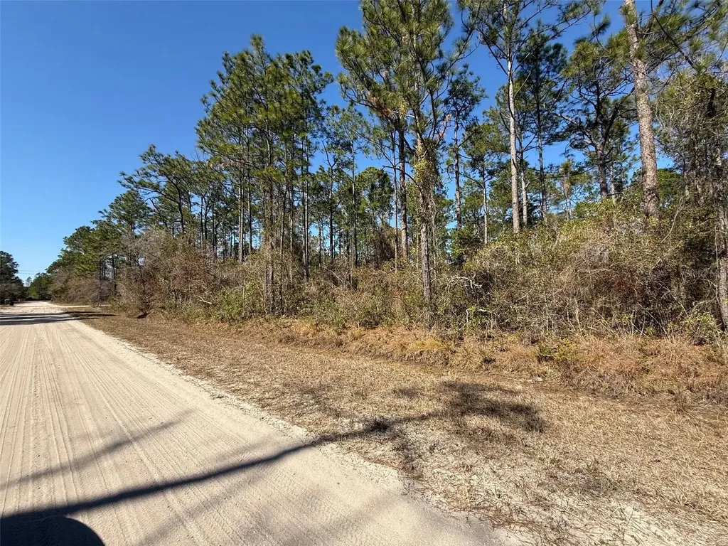 4664 Clove Avenue Bunnell FL 32110