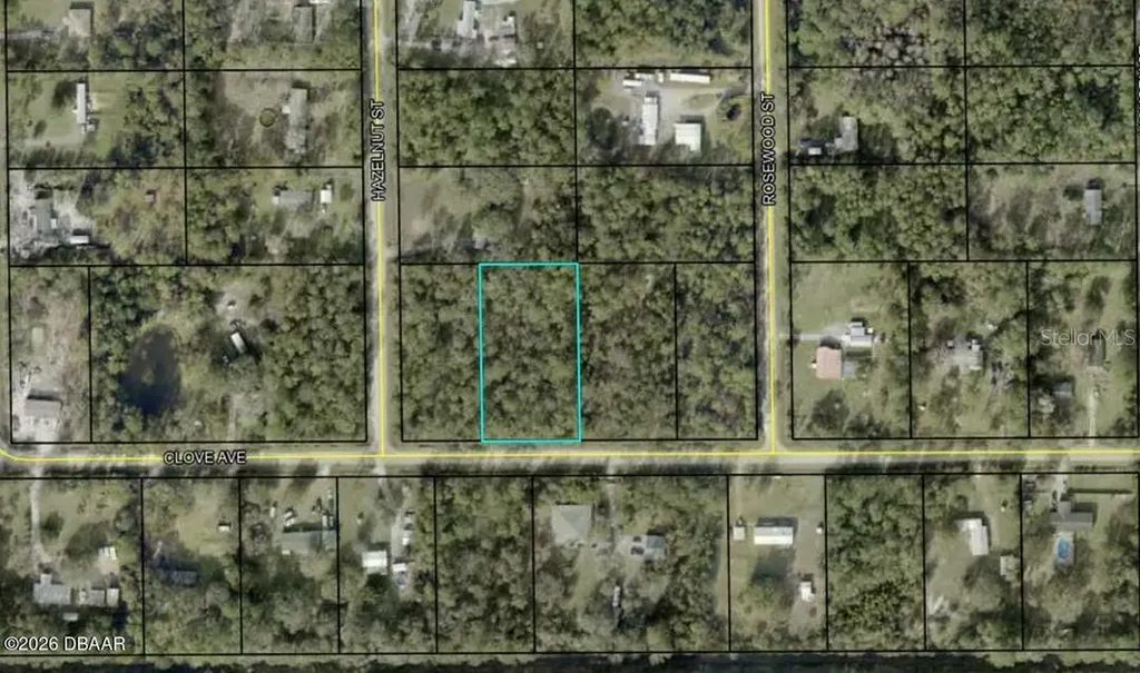 4664 Clove Avenue Bunnell FL 32110