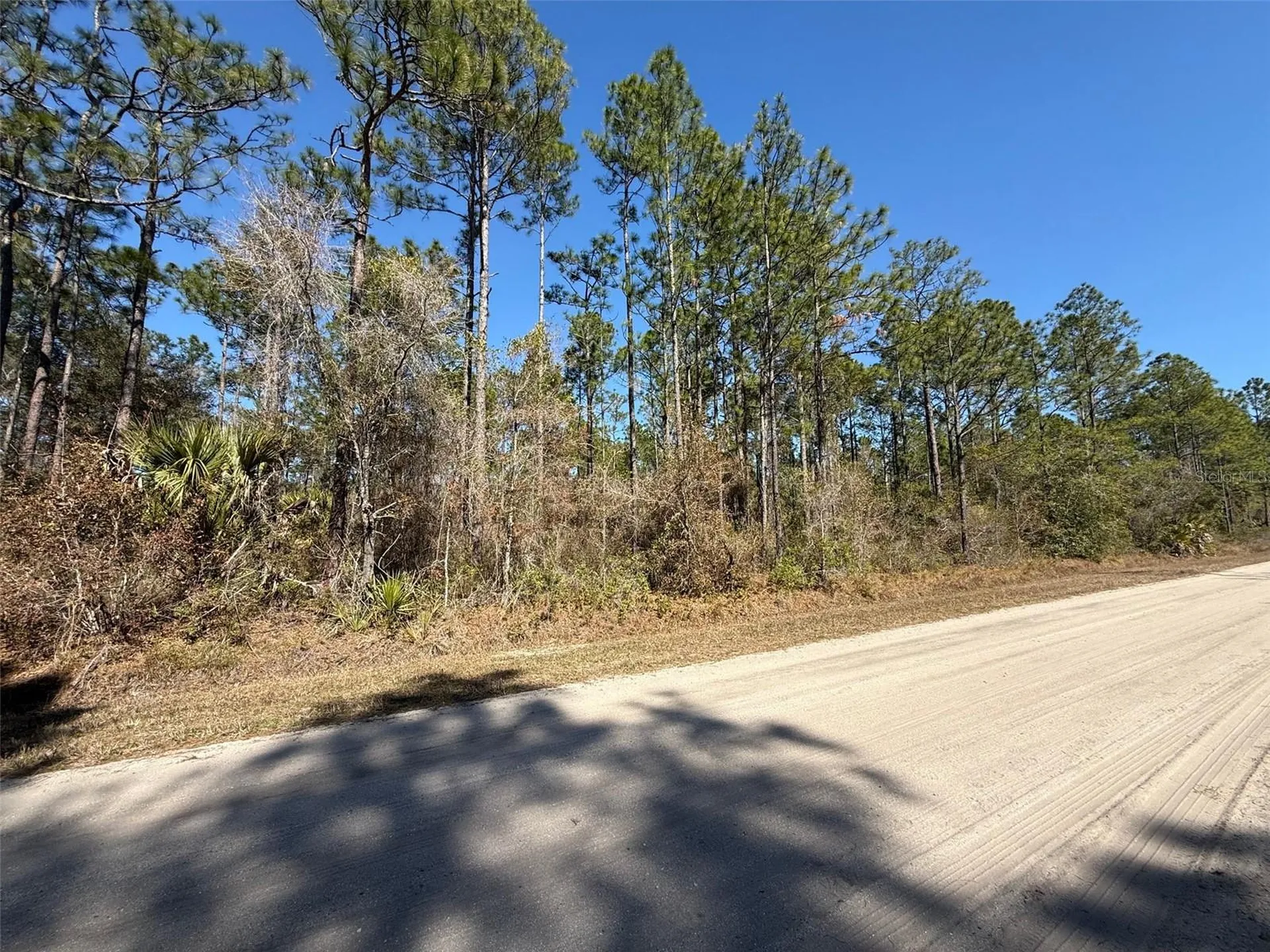 4664 Clove Avenue Bunnell FL 32110