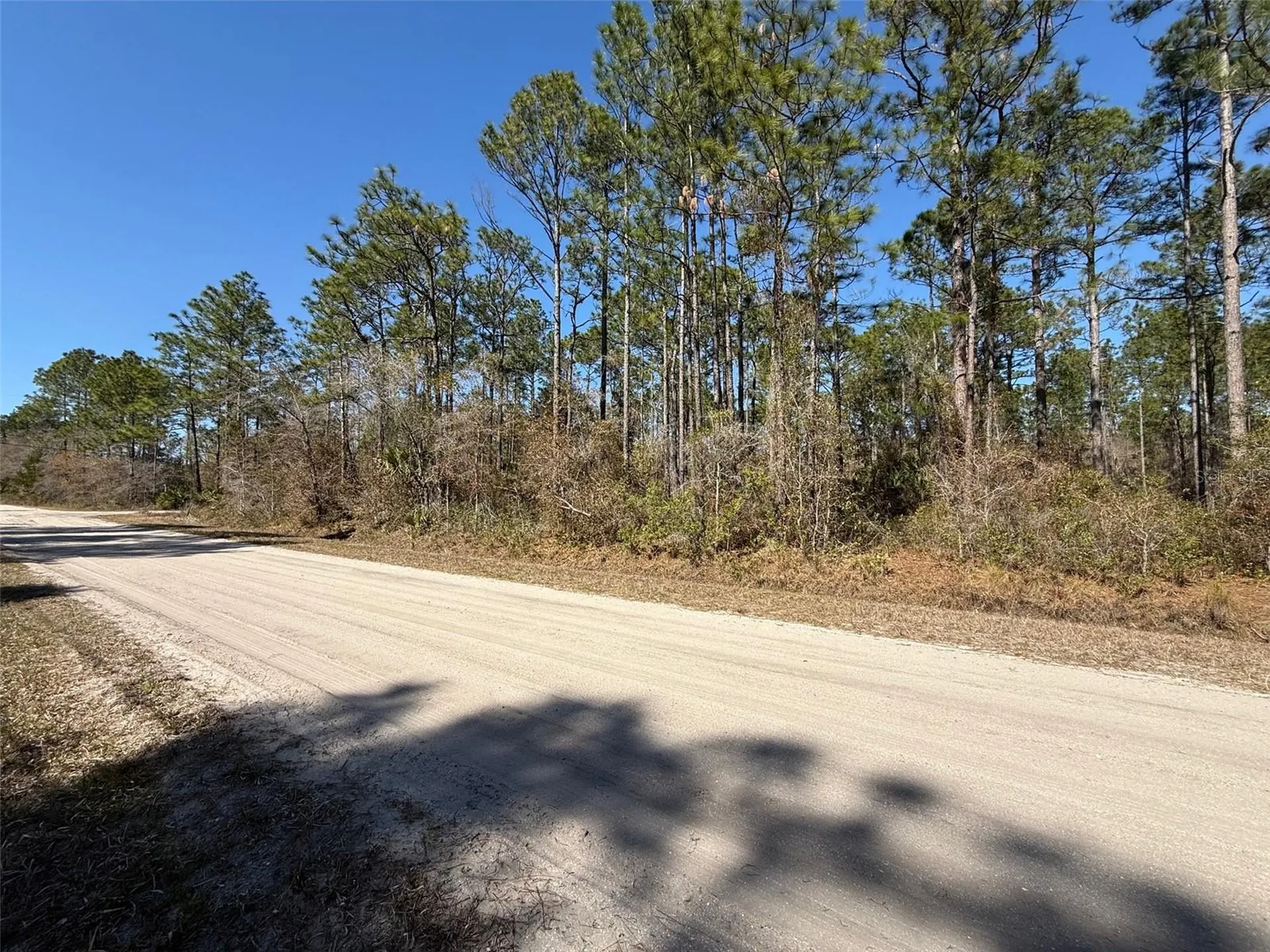 4664 Clove Avenue Bunnell FL 32110