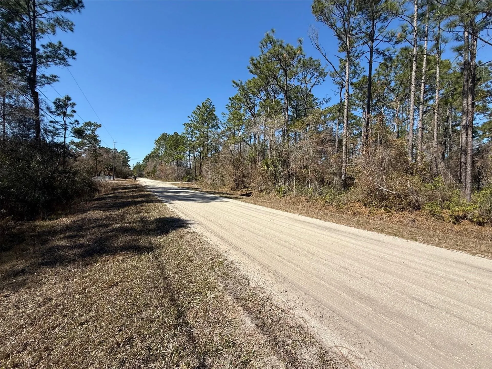 4664 Clove Avenue Bunnell FL 32110