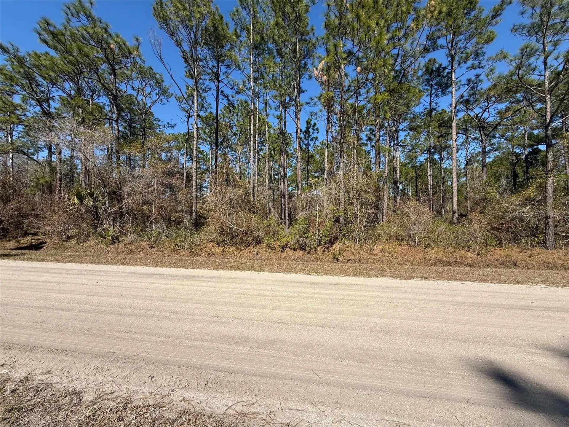 4664 Clove Avenue Bunnell FL 32110