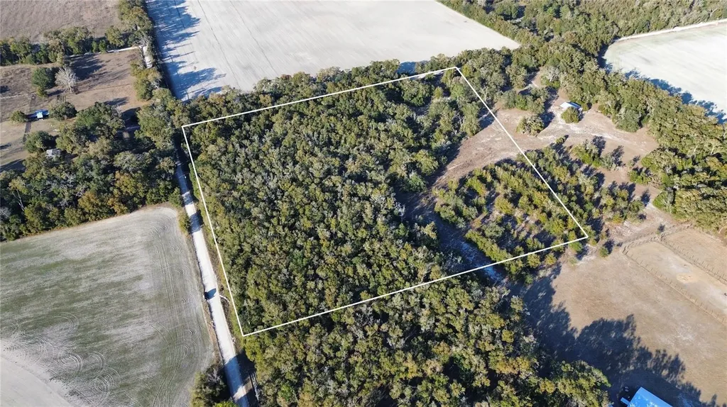 3829 Rodeo Road Bell FL 32619