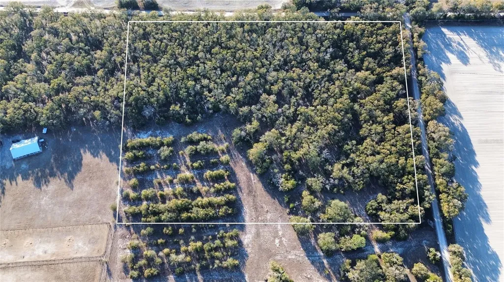 3829 Rodeo Road Bell FL 32619