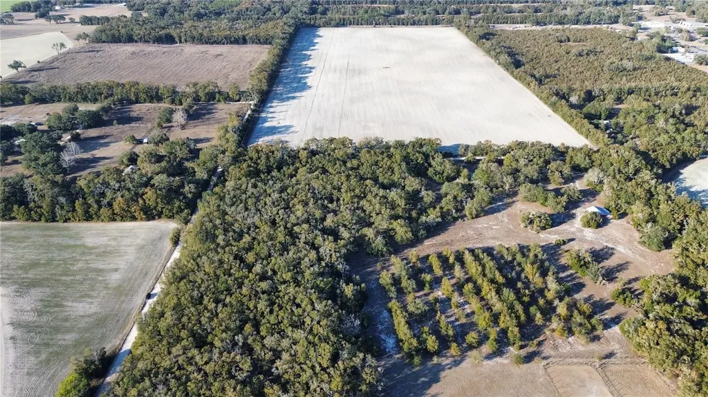 3829 Rodeo Road Bell FL 32619