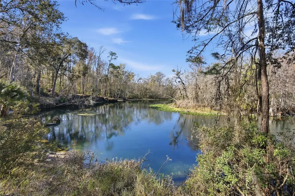 10226 NE 28th Loop Silver Springs FL 34488