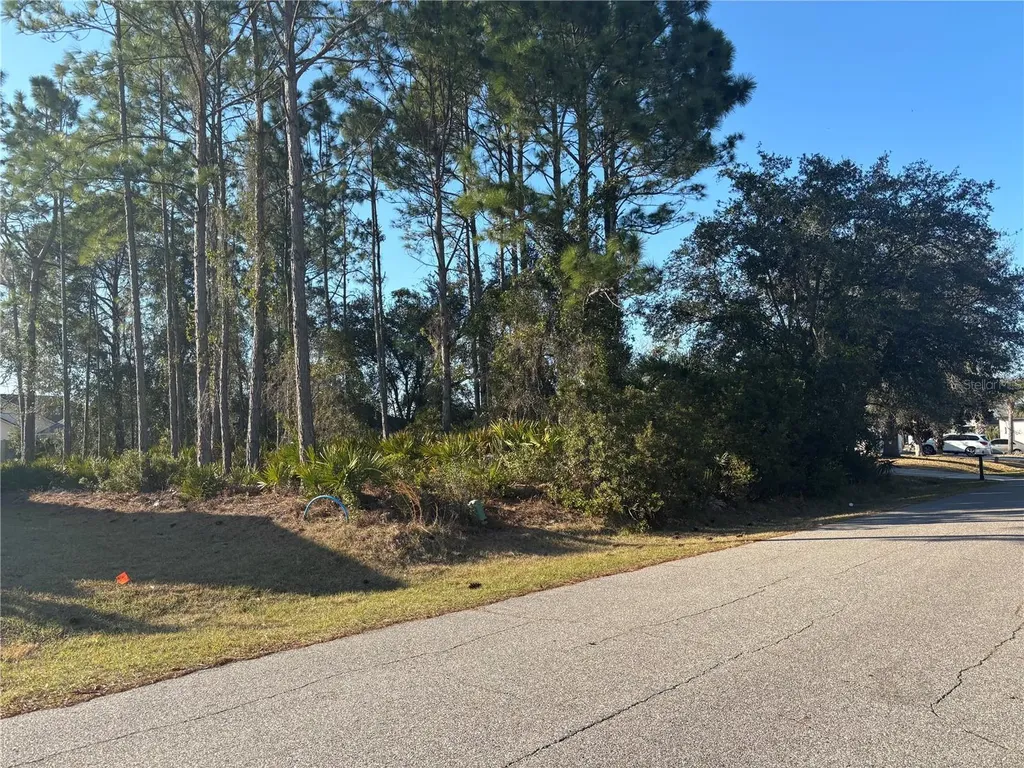6 Flint Hill Lane Palm Coast FL 32137