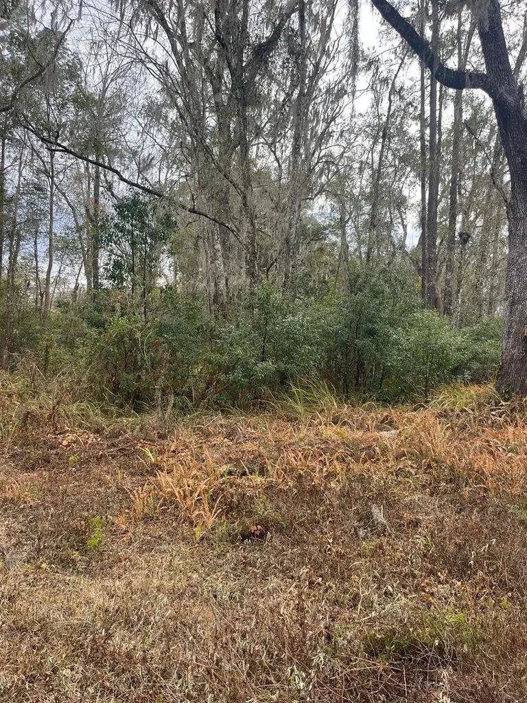 519 Ward Avenue Brooksville FL 34601