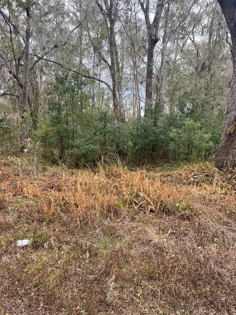 519 Ward Avenue Brooksville FL 34601
