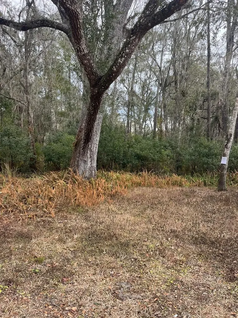 519 Ward Avenue Brooksville FL 34601