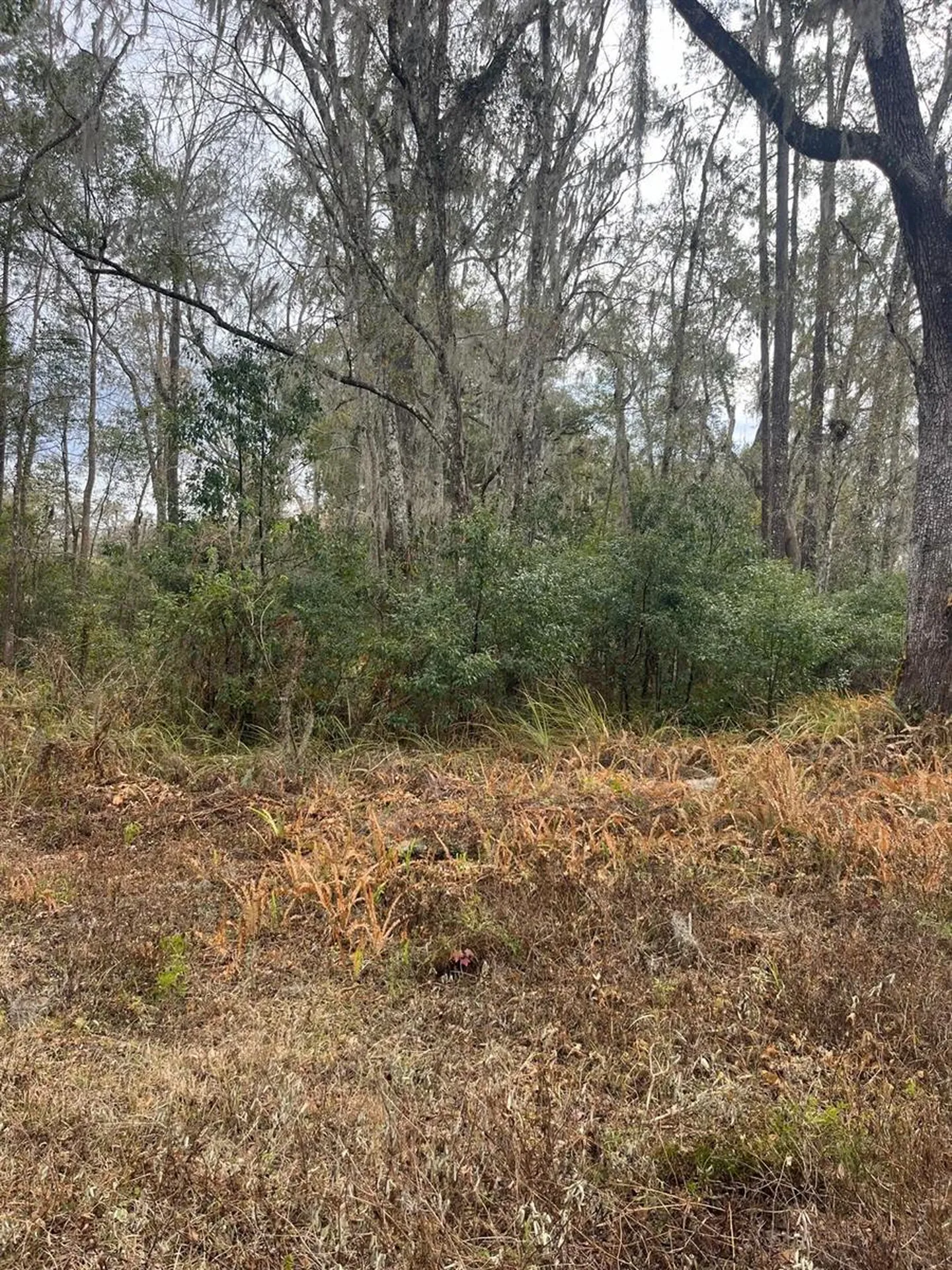 519 Ward Avenue Brooksville FL 34601