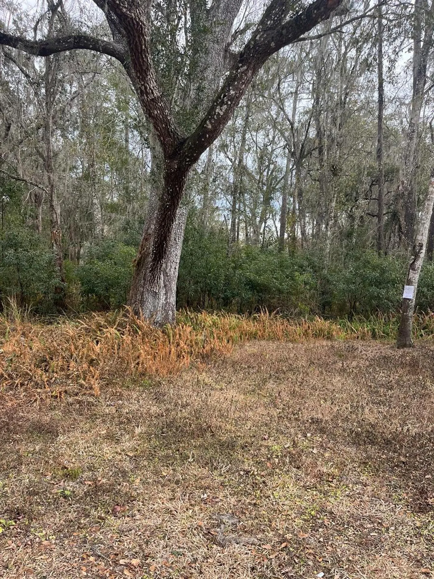 519 Ward Avenue Brooksville FL 34601