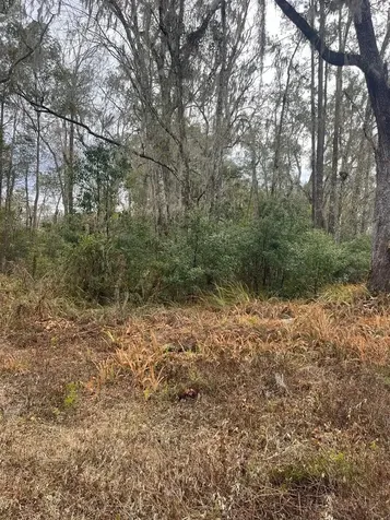519 Ward Avenue Brooksville FL 34601