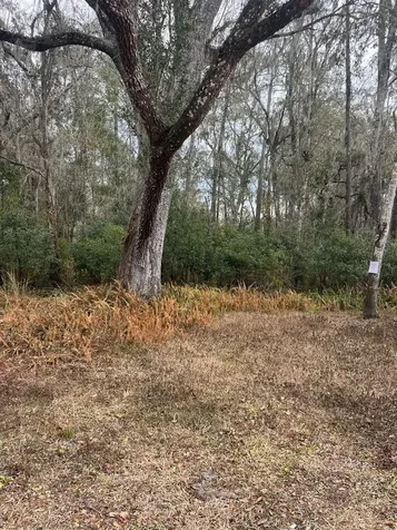 519 Ward Avenue Brooksville FL 34601