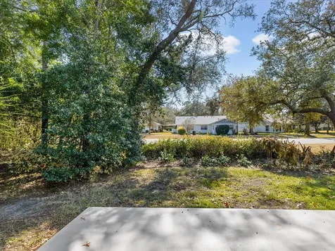 6580 Brambleleaf Drive Spring Hill FL 34606