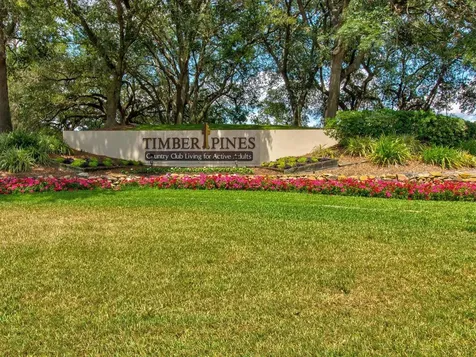 6580 Brambleleaf Drive Spring Hill FL 34606