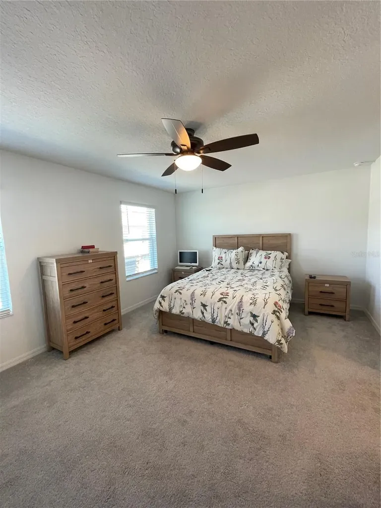 10211 Trumpet Honeysuckle Way San Antonio FL 33576
