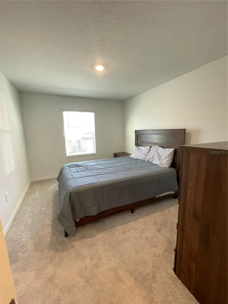 10211 Trumpet Honeysuckle Way San Antonio FL 33576