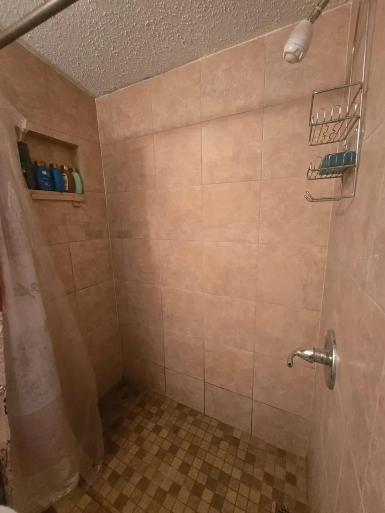 6106 Mangrove Drive Wesley Chapel FL 33544