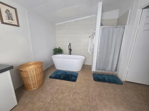 6106 Mangrove Drive Wesley Chapel FL 33544