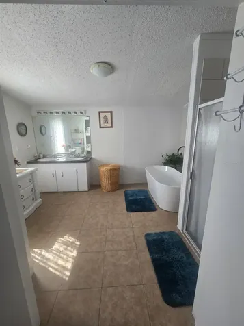 6106 Mangrove Drive Wesley Chapel FL 33544