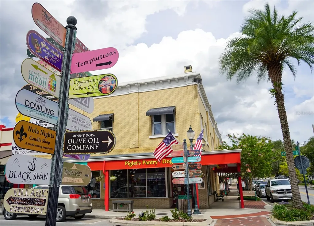 6136 Dora Drive Mount Dora FL 32757