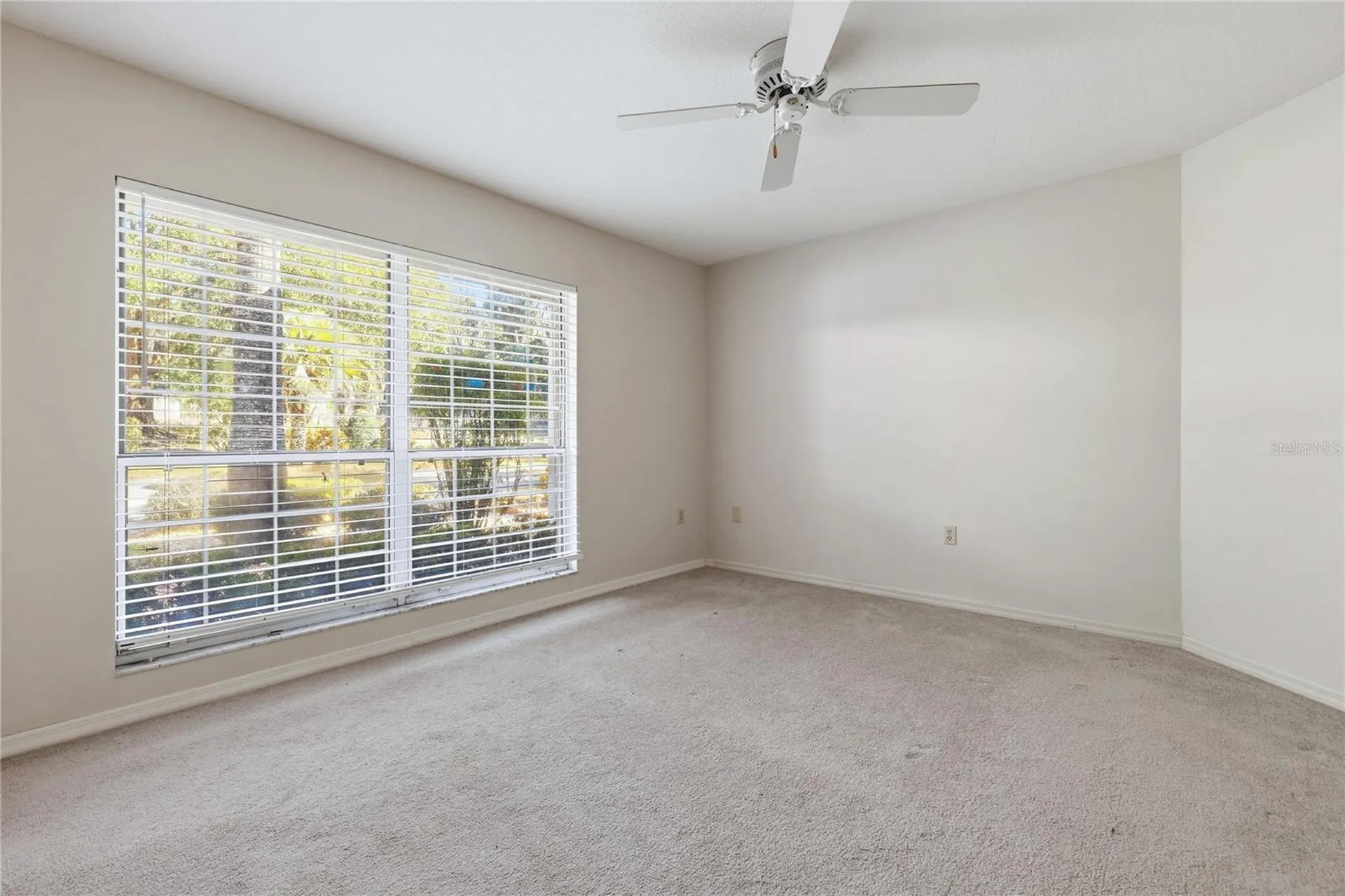 6136 Dora Drive Mount Dora FL 32757