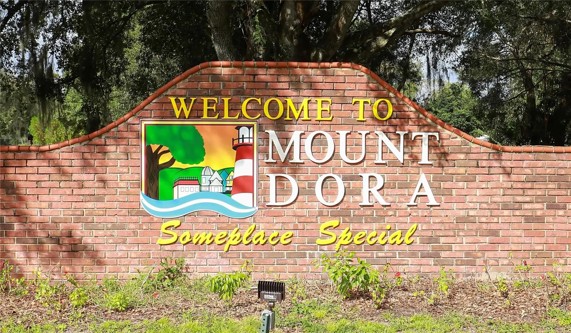 6136 Dora Drive Mount Dora FL 32757