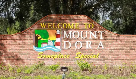 6136 Dora Drive Mount Dora FL 32757