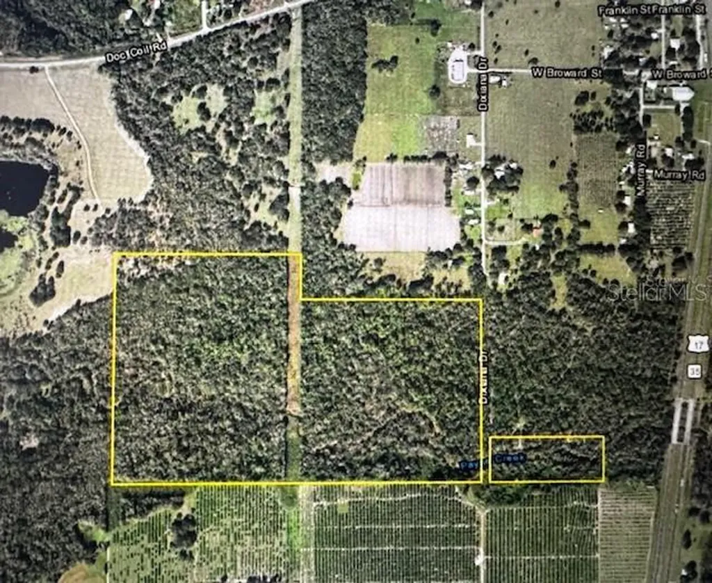 4051-3803 Dixiana Drive Bowling Green FL 33834