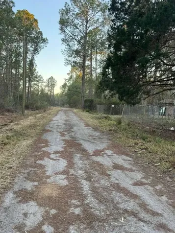 13395 NE 65th Court Citra FL 32113