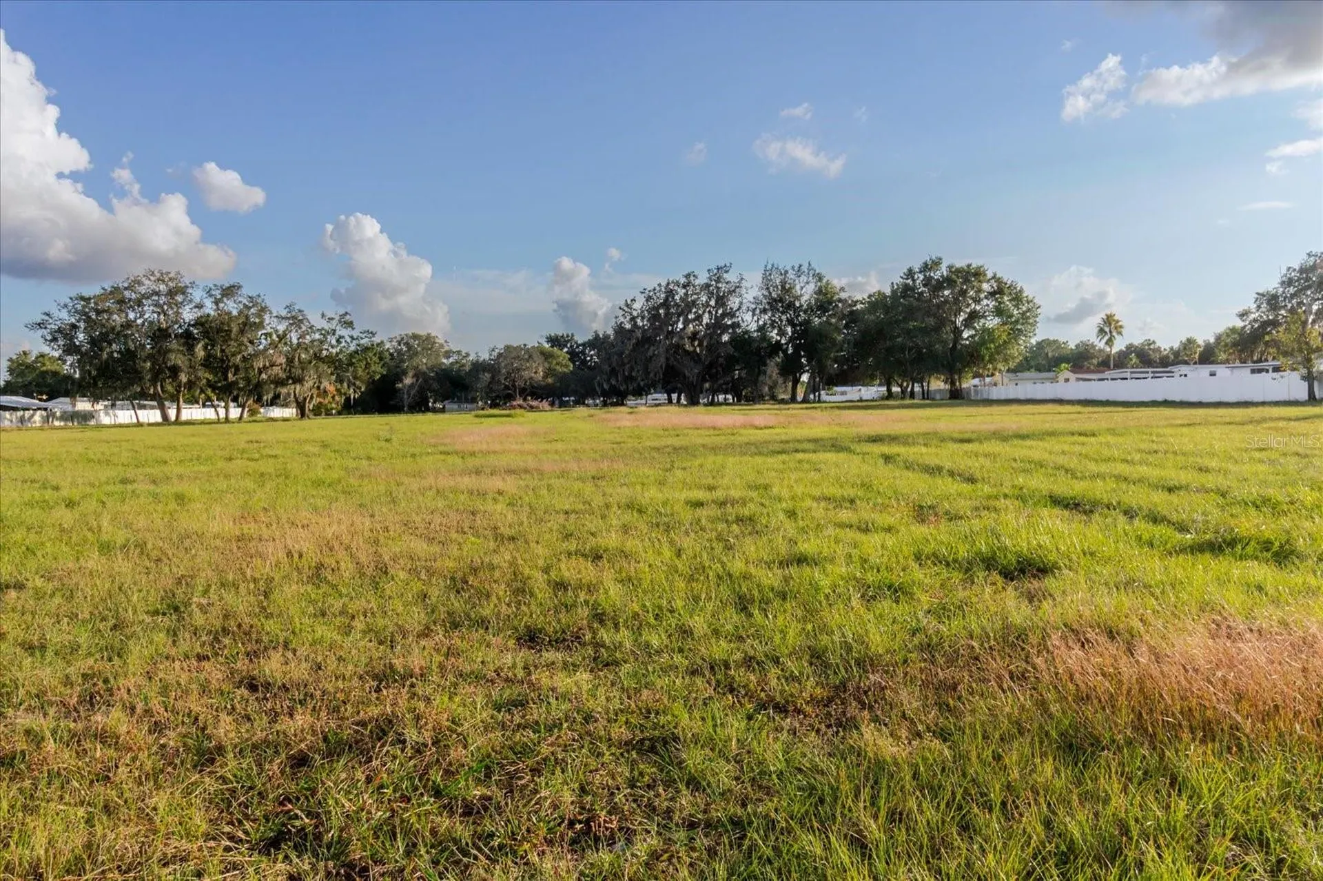 37435 Chancey Road Zephyrhills FL 33541