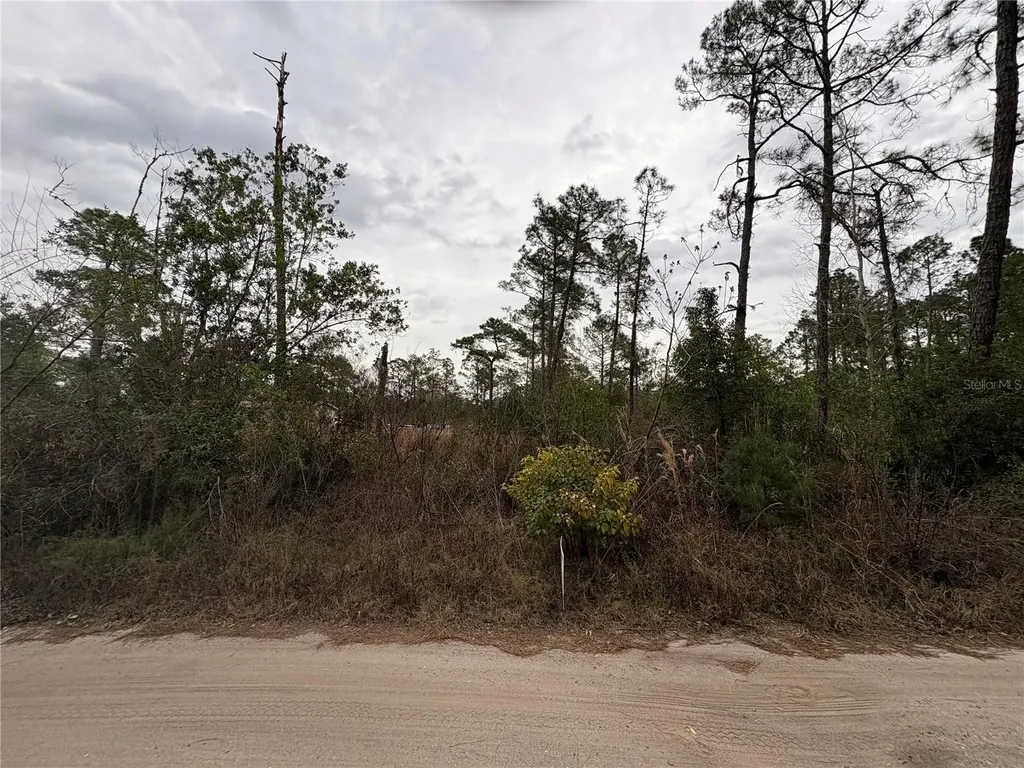 Georgia Street Paisley FL 32767