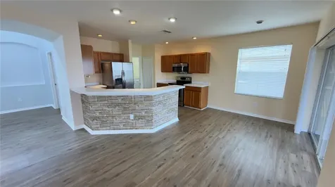 31405 Triborough Drive Wesley Chapel FL 33545