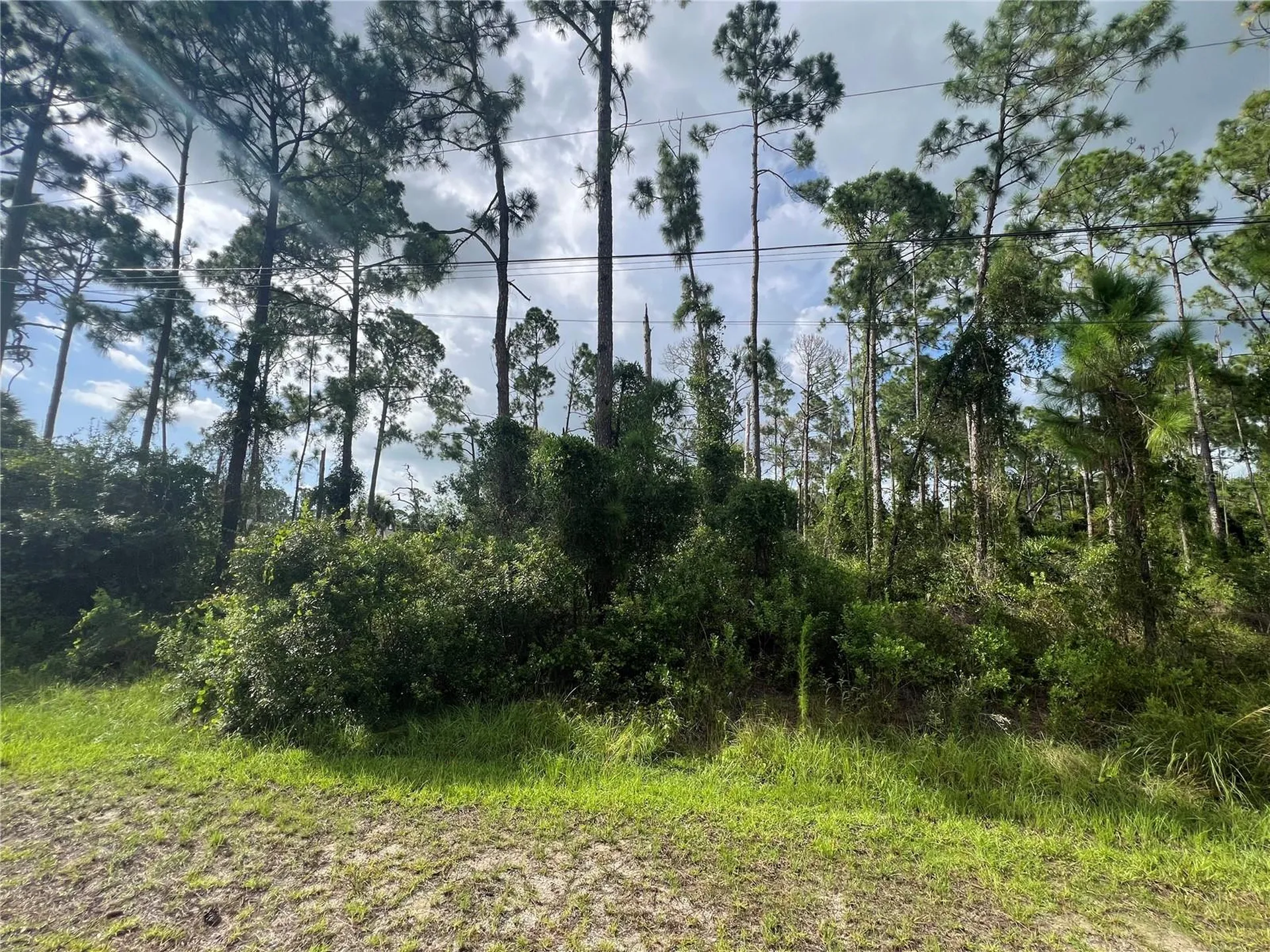 Lot 21, Elkenberry Avenue North Port FL 34291