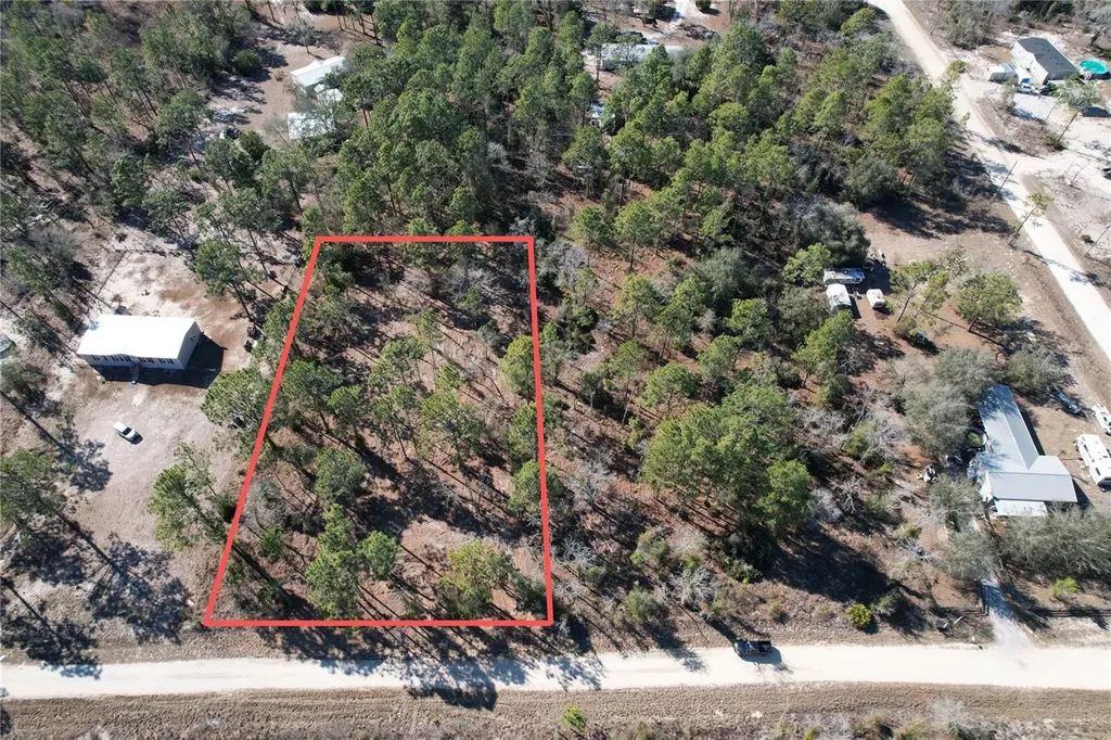 SE 134th Terrace Morriston FL 32668