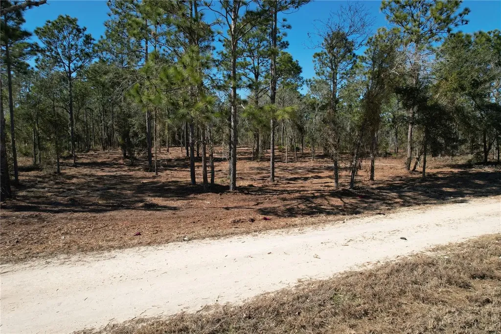 SE 134th Terrace Morriston FL 32668