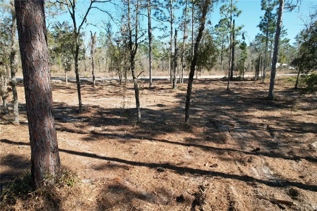 SE 134th Terrace Morriston FL 32668