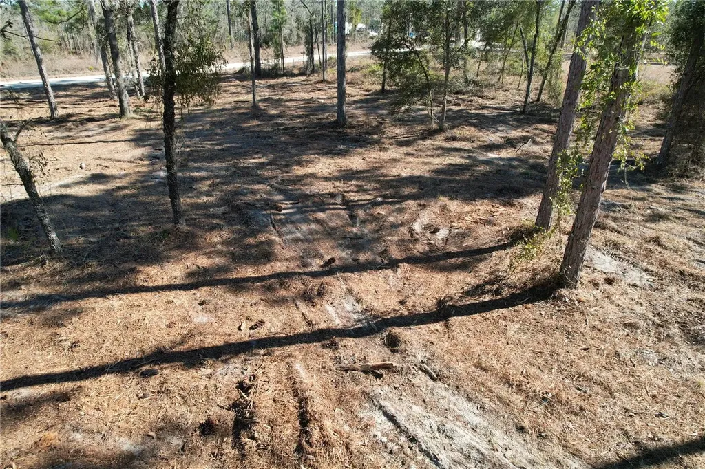 SE 134th Terrace Morriston FL 32668