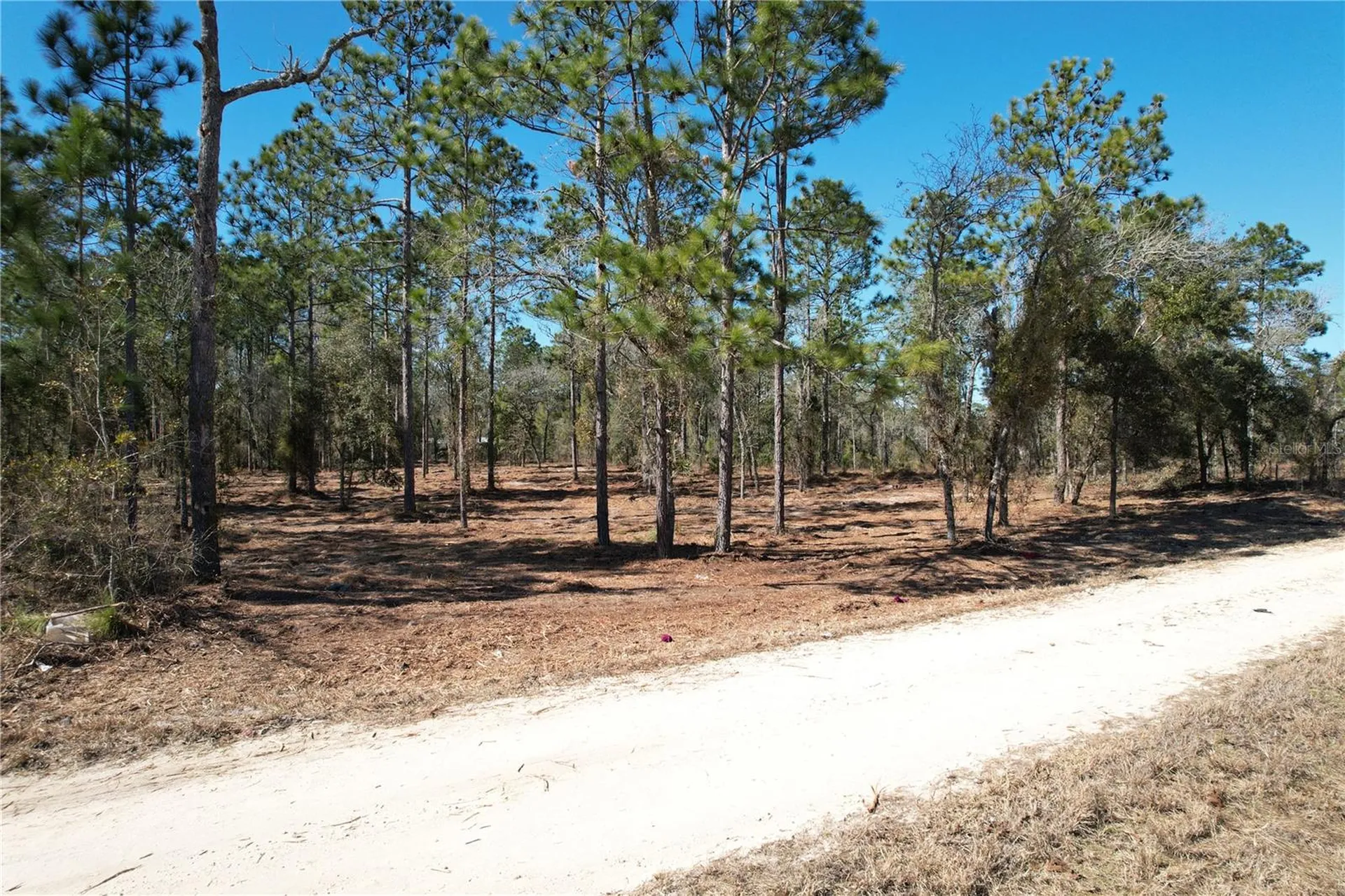 SE 134th Terrace Morriston FL 32668