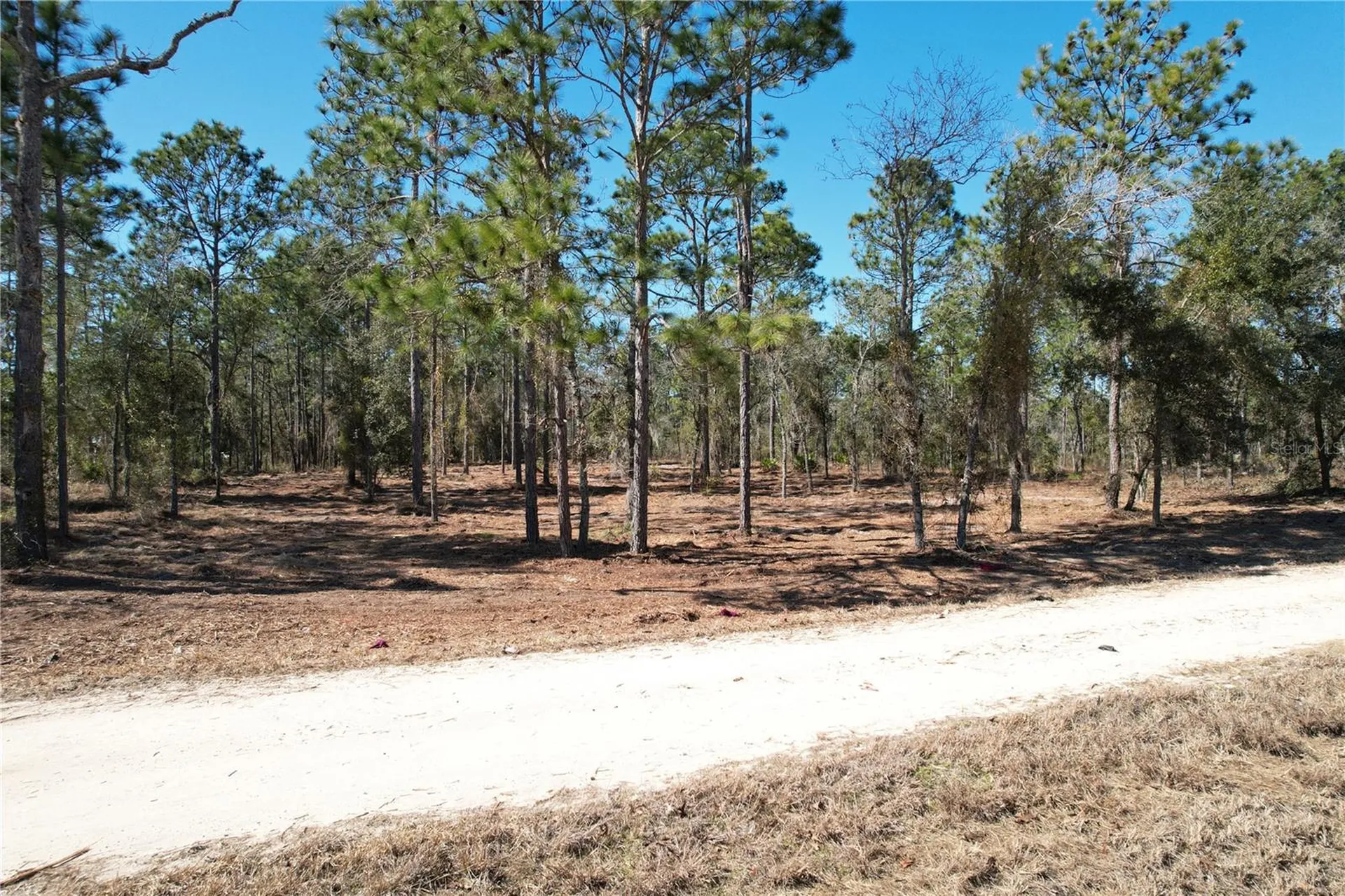 SE 134th Terrace Morriston FL 32668