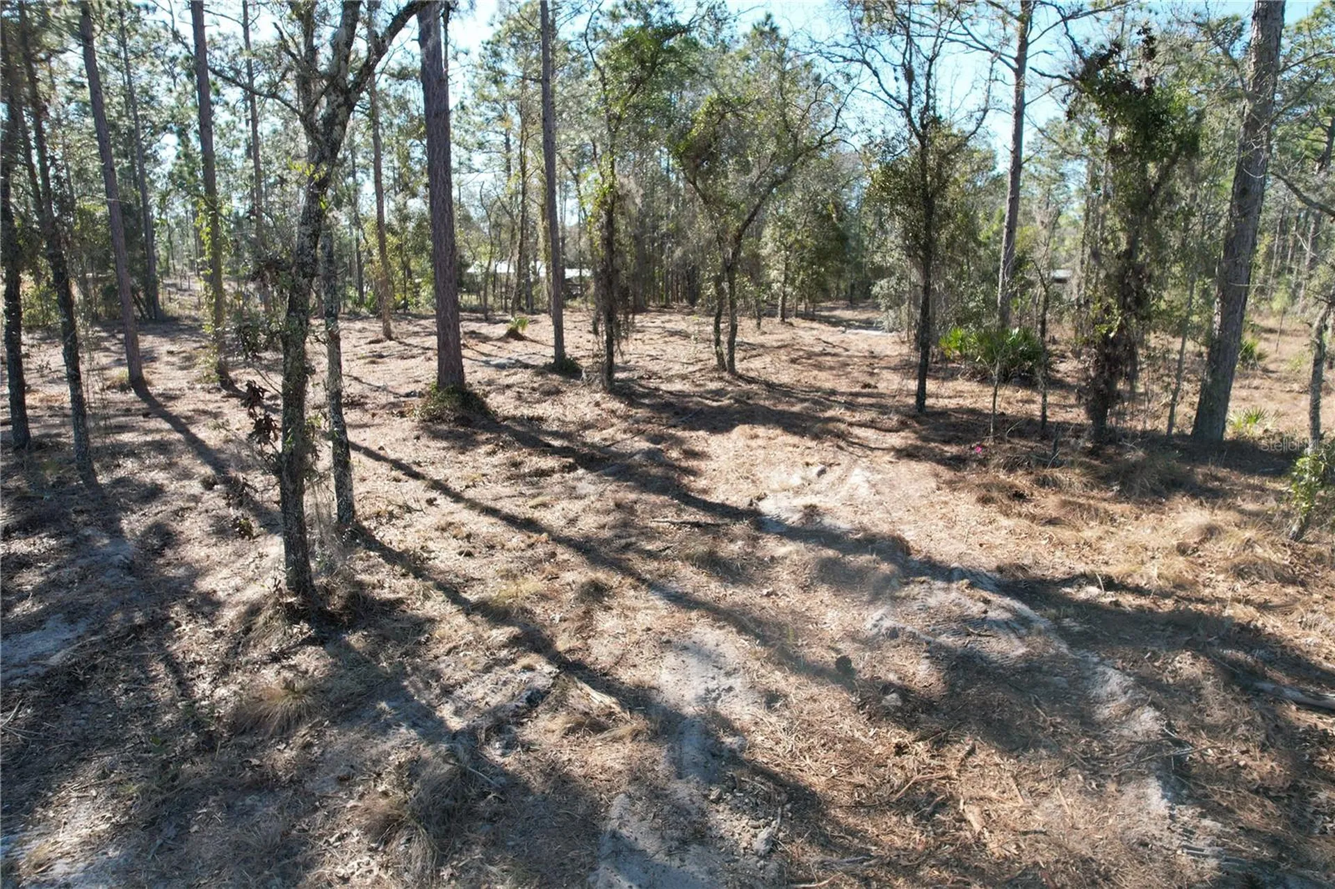 SE 134th Terrace Morriston FL 32668