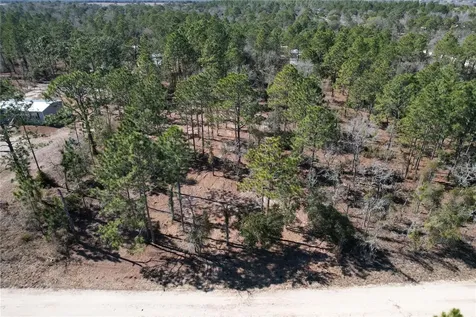 SE 134th Terrace Morriston FL 32668