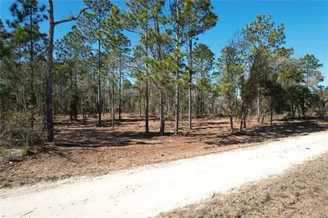 SE 134th Terrace Morriston FL 32668