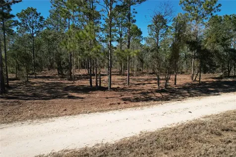 SE 134th Terrace Morriston FL 32668